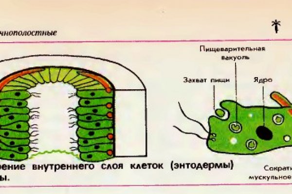 Новая ссылка на кракен