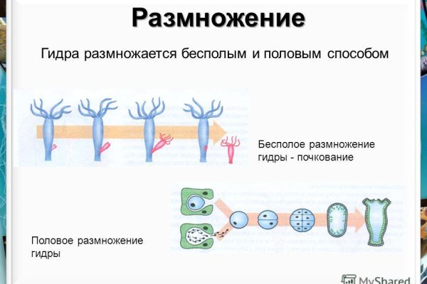 Гидра ссылка зеркало